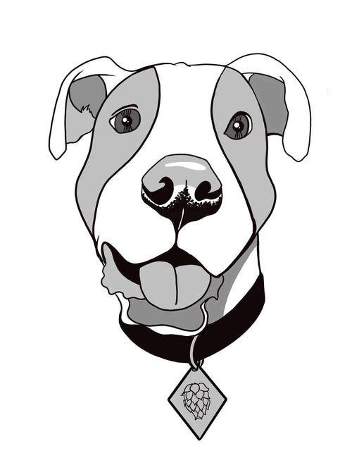 Rocko's Modern Taphouse